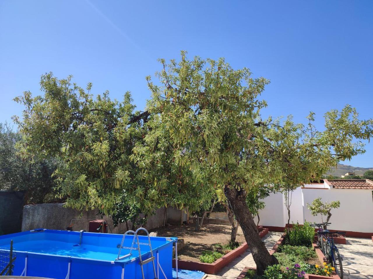 Villa Rosa Castellammare del Golfo Dış mekan fotoğraf