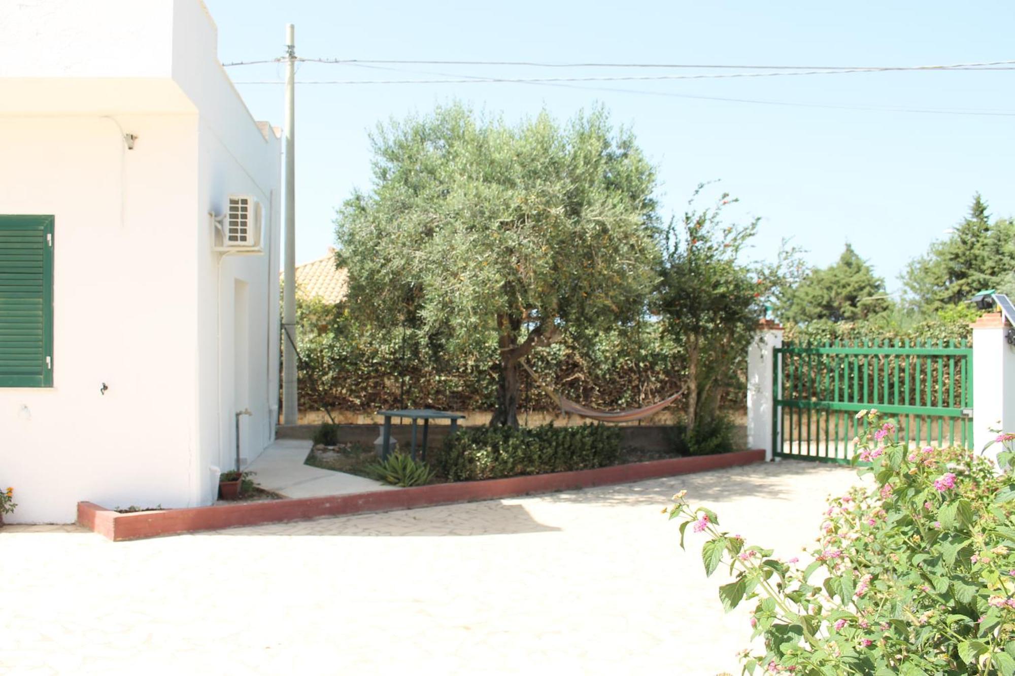 Villa Rosa Castellammare del Golfo Dış mekan fotoğraf